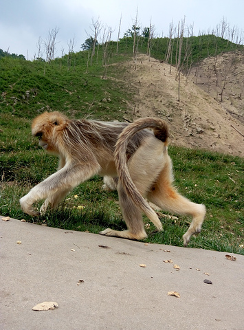 "_长青华阳景区"的评论图片