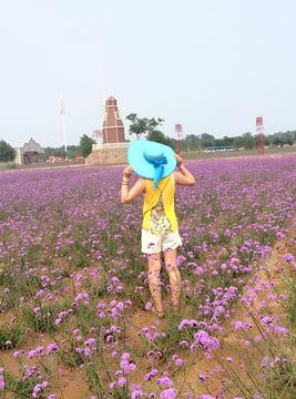 渔岛海洋度假区旅游景点攻略图