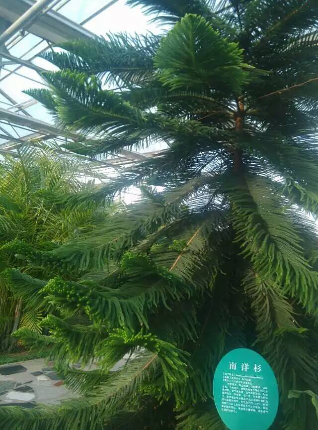 清徐白石沟生态旅游区