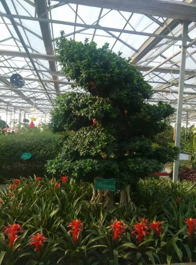 清徐白石沟生态旅游区