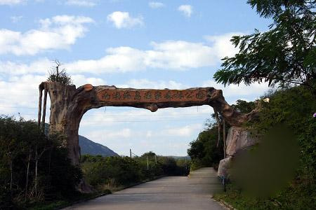 黄花山国家森林公园