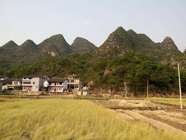 兴义贵州龙地质公园博物馆