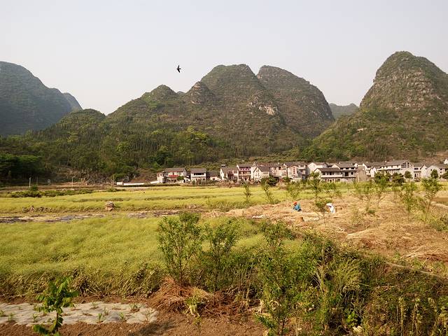 兴义贵州龙地质公园博物馆