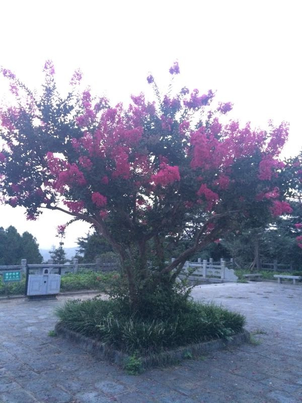 抗日山烈士陵园