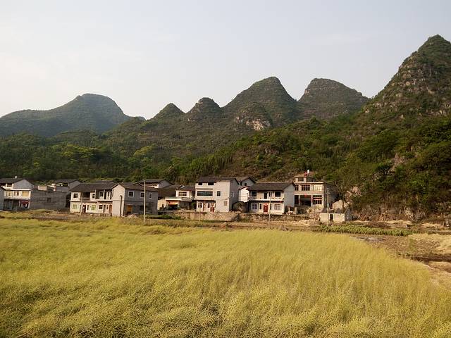 兴义贵州龙地质公园博物馆