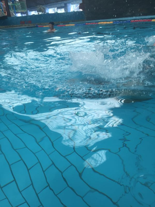 蒙根花温泉水世界