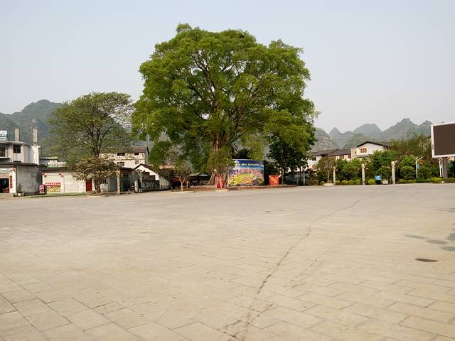 兴义贵州龙地质公园博物馆