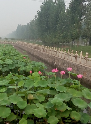 2020汇馨芳香世界游玩攻略,很好的休闲去处,有采摘,有.