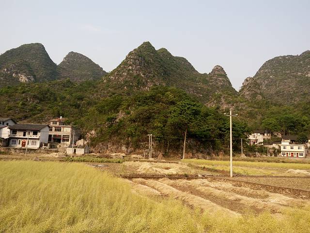 兴义贵州龙地质公园博物馆