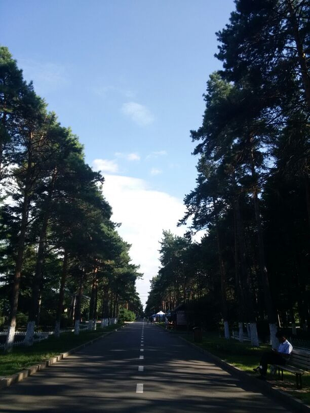 黑龙江省森林植物园