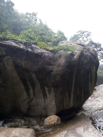 "_神灵寨风景区"的评论图片