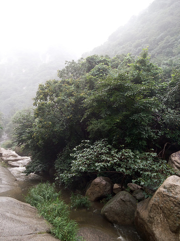 "_神灵寨风景区"的评论图片