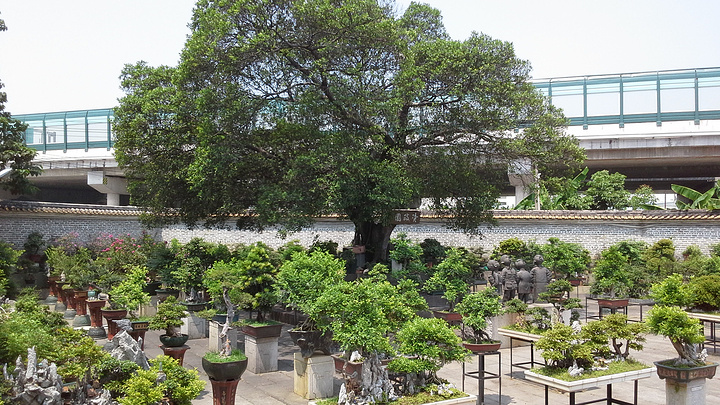 "_广州民俗博物馆"的评论图片