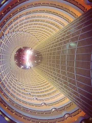 "_金茂大厦88层观光厅"的评论图片