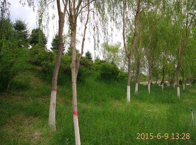 东湖生态旅游景区