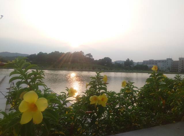 海军黄埔军事博览中心