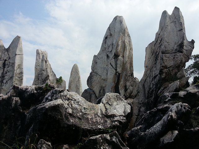 一边走在石林间,一边想大自然怎么这么神奇,一座山上全是形状各异的
