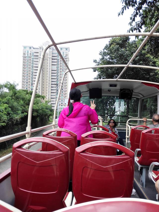 澳门开篷观光巴士