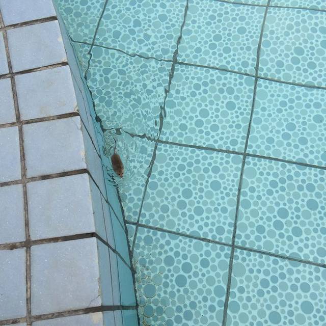 连环湖温泉景区