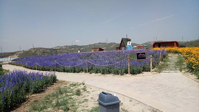 薰衣草NE庄园