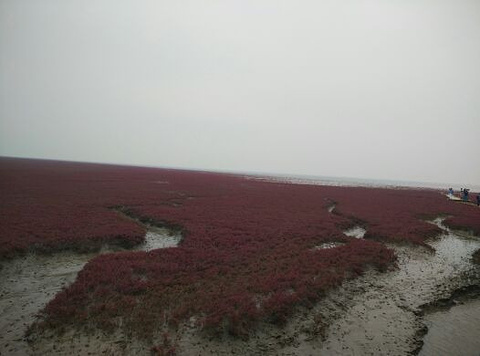 红海滩国家风景廊道旅游景点攻略图