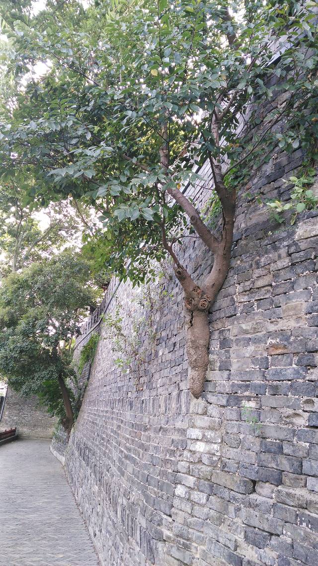 川沙古城墙公园