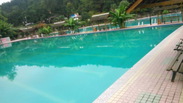 紫林山国家森林公园