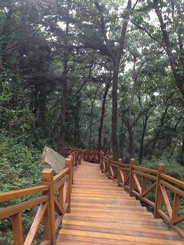 "_沂蒙山旅游区沂山景区"的评论图片