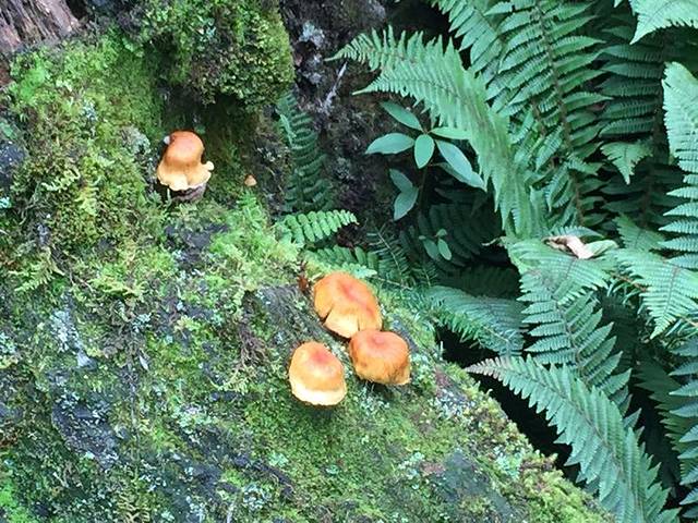 海螺沟半亩山庄温泉