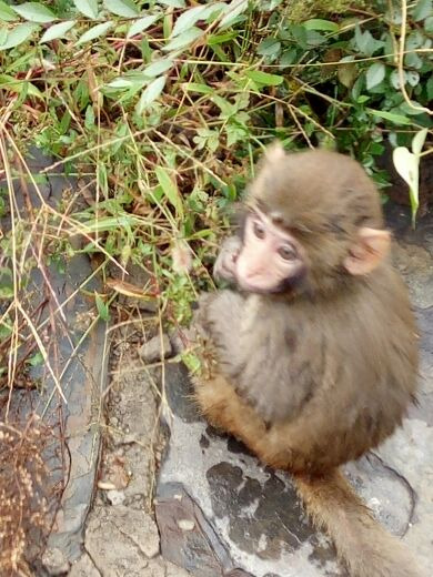 中国房山世界地质公园