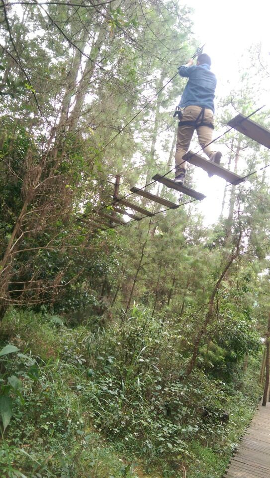紫林山国家森林公园