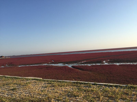 红海滩国家风景廊道旅游景点攻略图