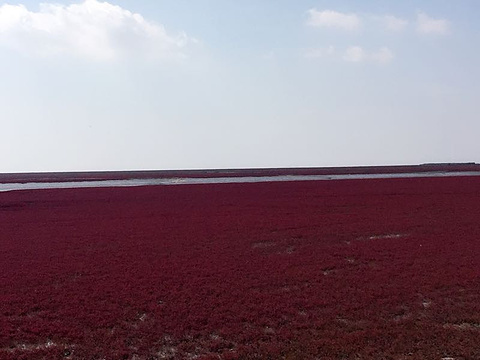 红海滩国家风景廊道旅游景点攻略图