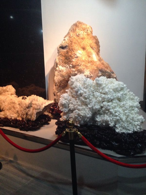 烟台自然博物馆