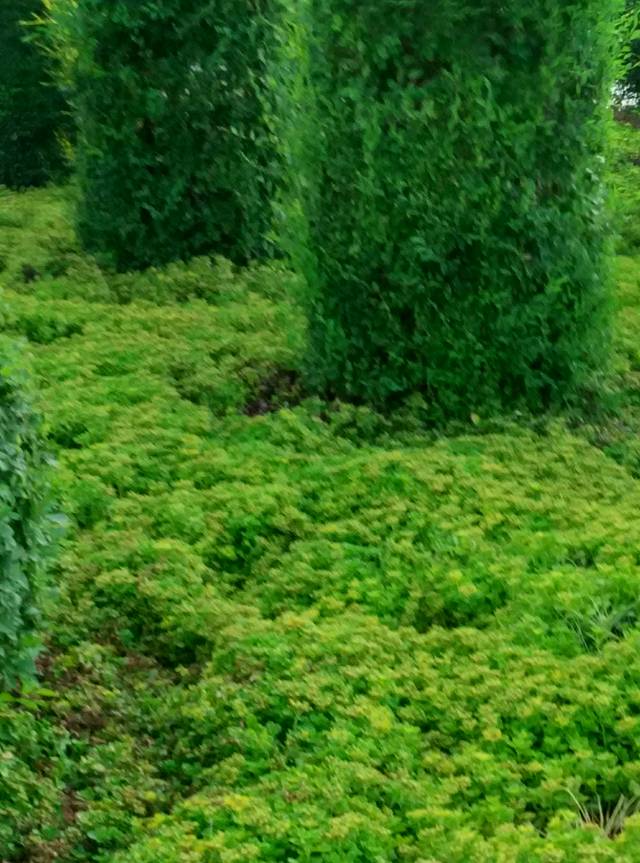 北大荒农机博览园