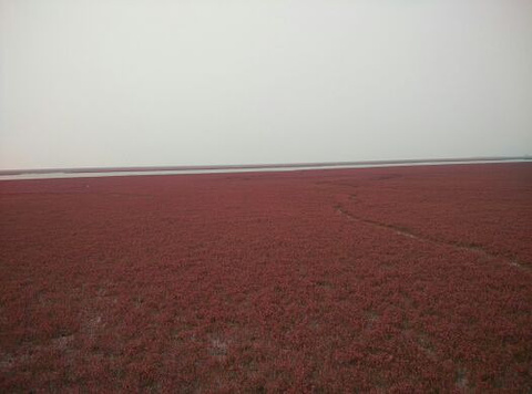 红海滩国家风景廊道旅游景点攻略图