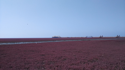 红海滩国家风景廊道旅游景点攻略图