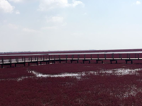 红海滩国家风景廊道旅游景点攻略图