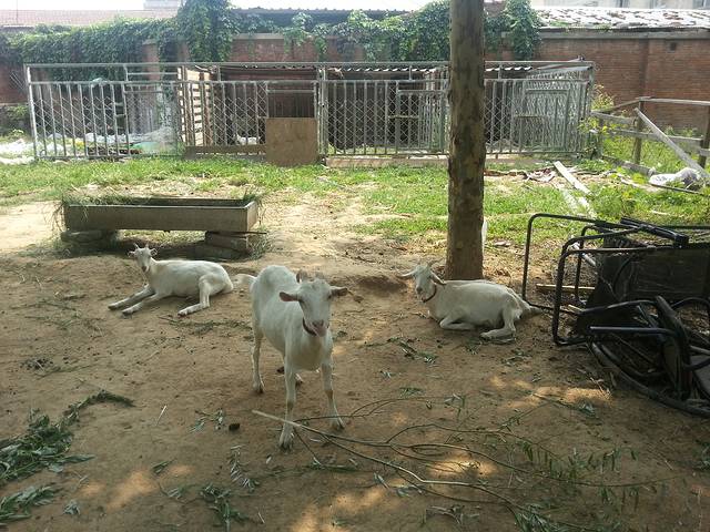 北京国际露营公园