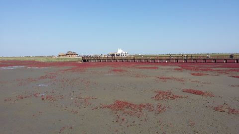 红海滩国家风景廊道旅游景点攻略图