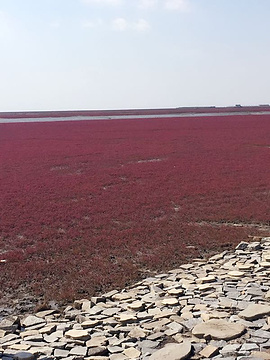 红海滩国家风景廊道旅游景点攻略图