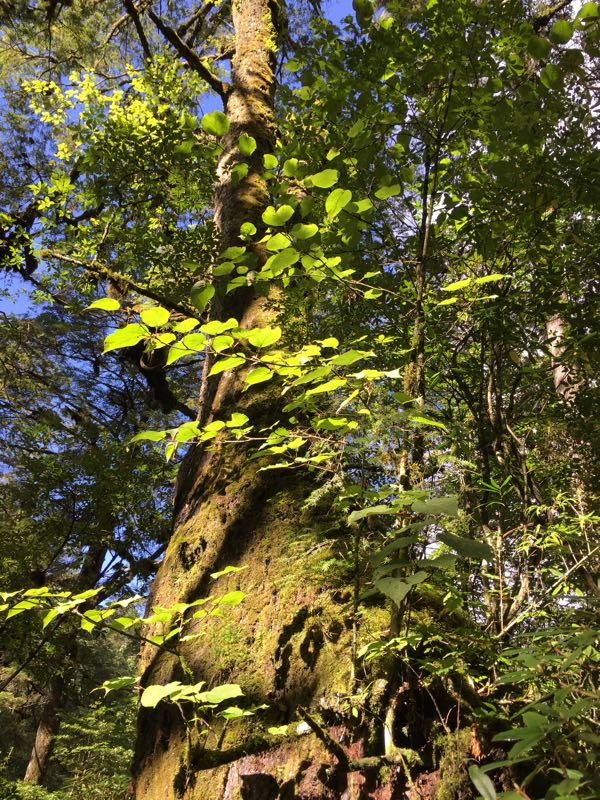 海螺沟半亩山庄温泉
