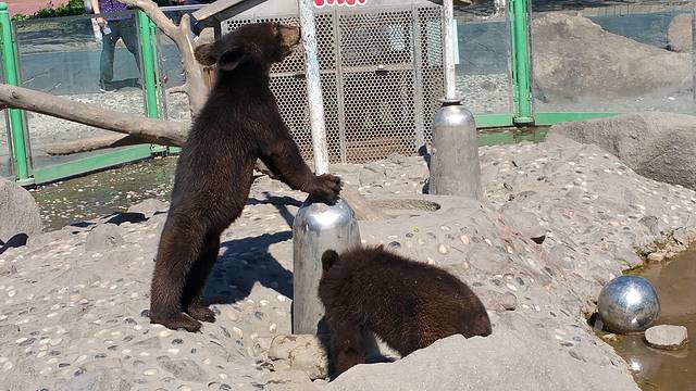 太阳岛笨熊乐园