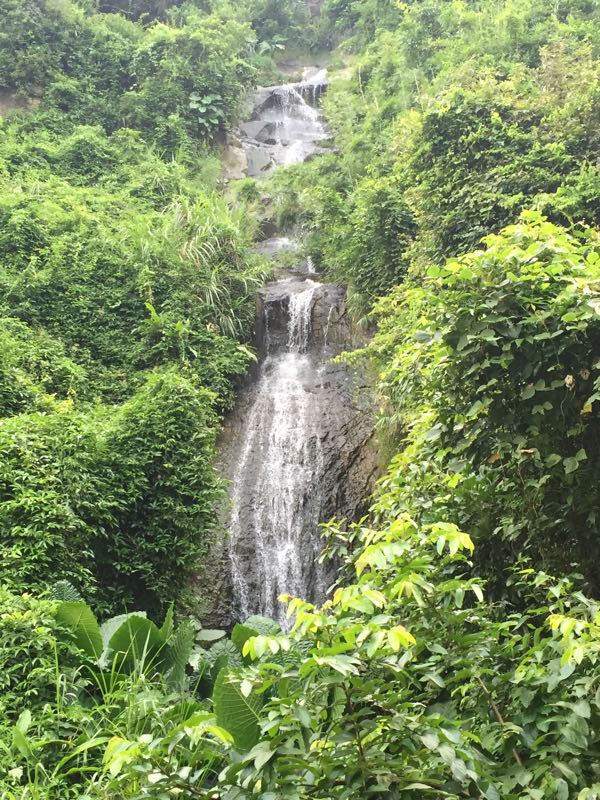 顶上生态风景区