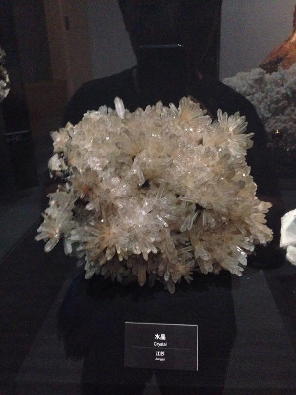 烟台自然博物馆