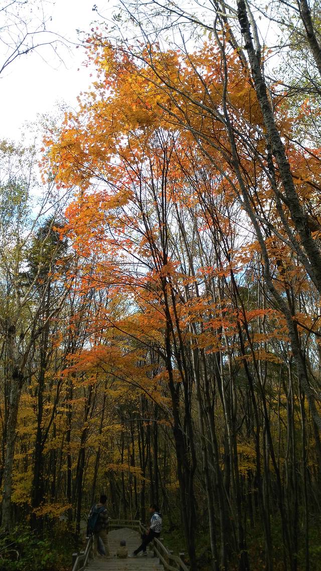 岗山国家森林公园