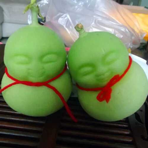 桓龙湖国家湿地公园