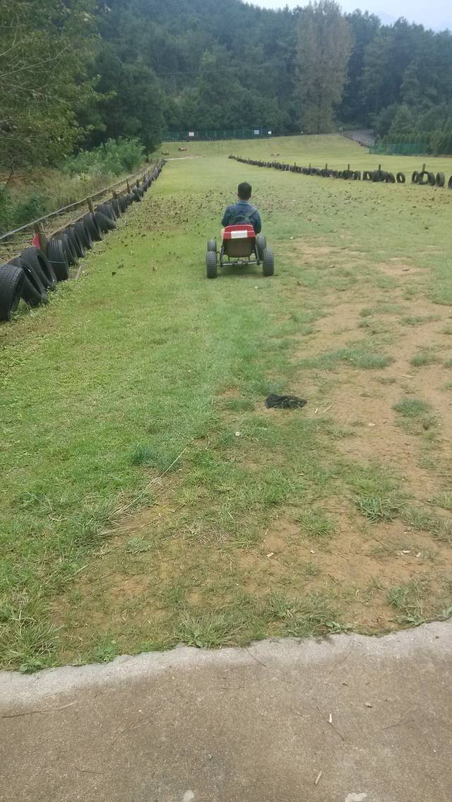 紫林山国家森林公园