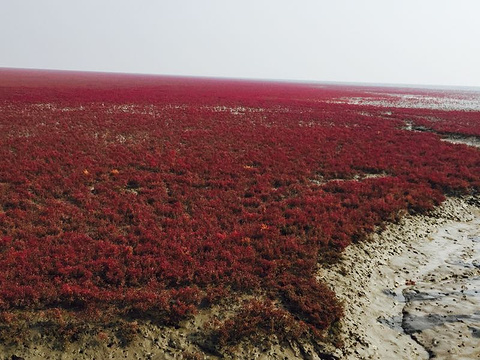 红海滩国家风景廊道旅游景点攻略图