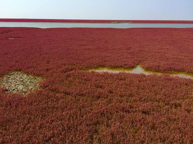 "_红海滩国家风景廊道"的评论图片